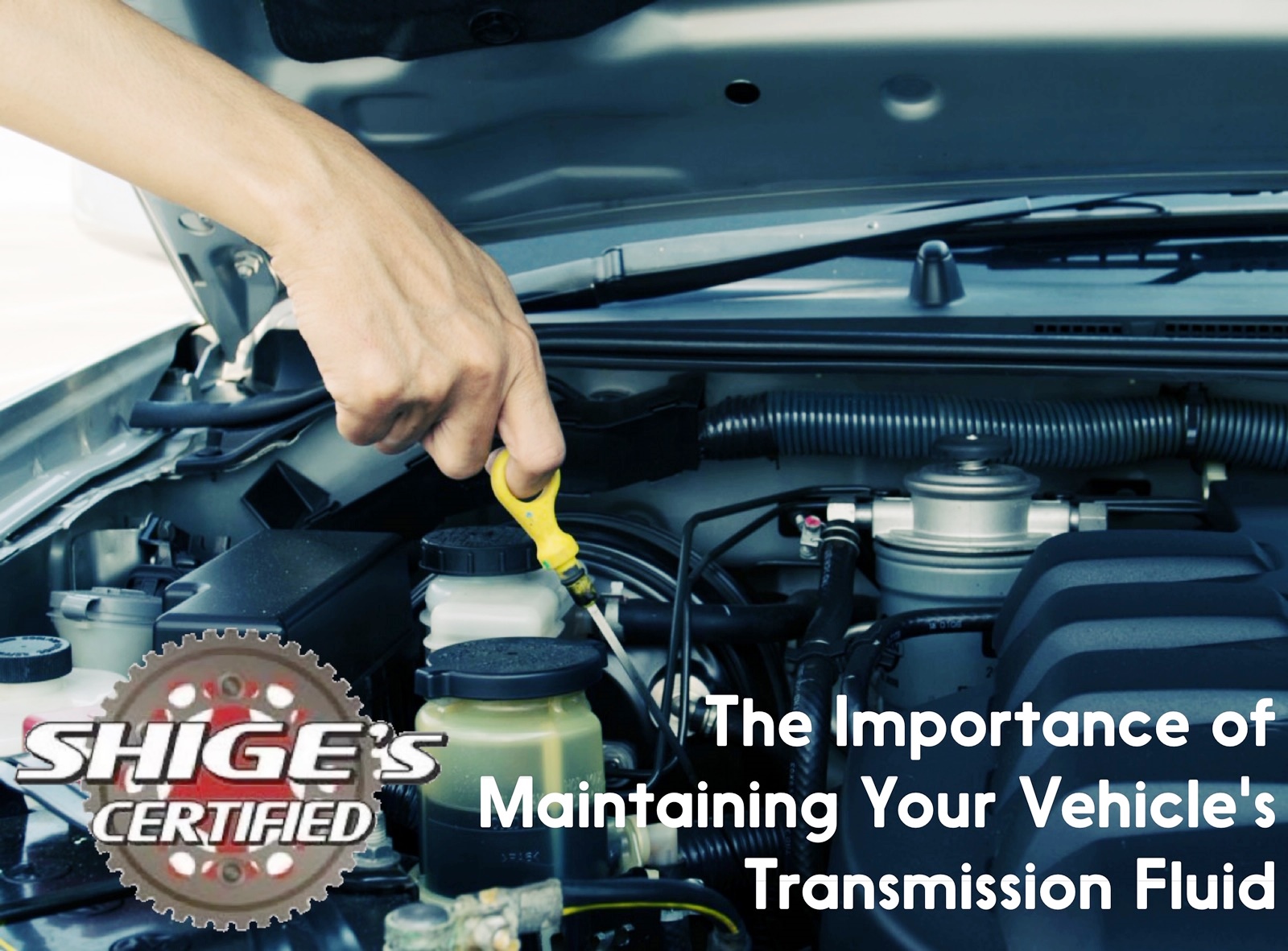 car maintenance, transmission maintenance, transmission fluid, mechanics in gardena, southbay mechanics,shiges premier, transmission problems 