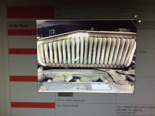 Shige's Premier Complementary Digital Vehicle Inspection - image #2
